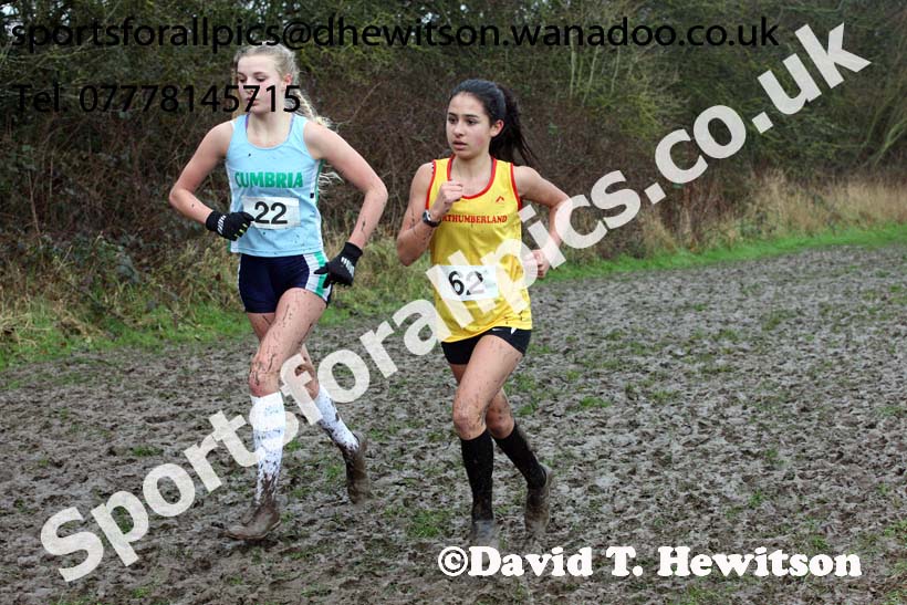 Intermediate girls Northern Inter Counties Schools Cross Country, Stockton. Photo: David T. Hewitson/Sports for All Pics
